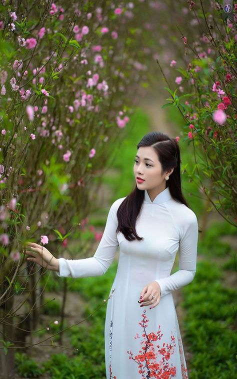 达尔文游戏动漫全集免费观看